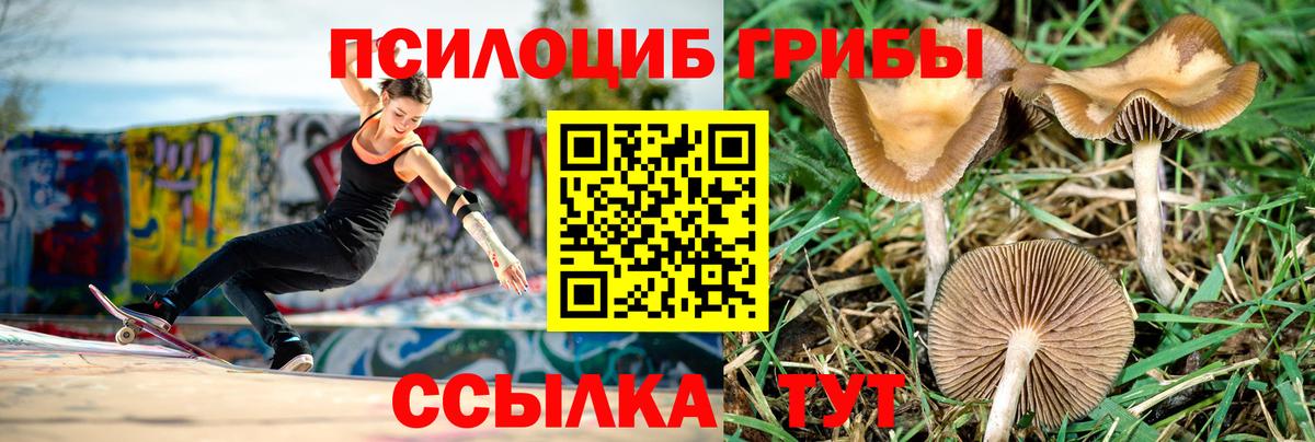 где продают наркотики  Галлюциногенные грибы Magic Shrooms  Галлюциногенные грибы прущие грибы  Вход с VPN  Кирово-Чепецк 