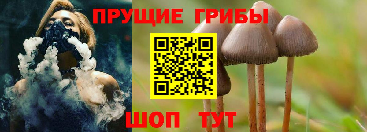 Псилоцибиновые грибы GOLDEN TEACHER Кирово-Чепецк